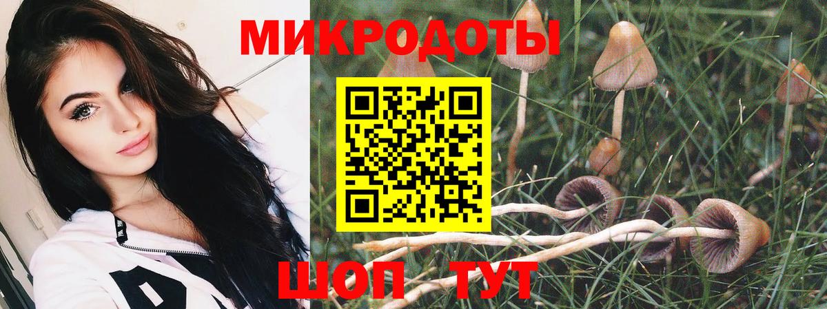 Псилоцибиновые грибы мицелий  Вход с VPN  Волгодонск  Псилоцибиновые грибы мухоморы 
