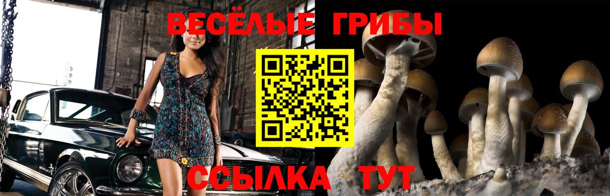 Псилоцибиновые грибы мухоморы Волгодонск