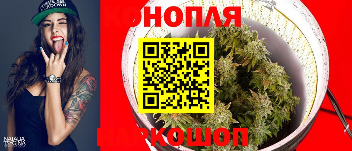Конопля AK-47  Шишки марихуана марихуана  Канабис план  Волгодонск  Вход с VPN 